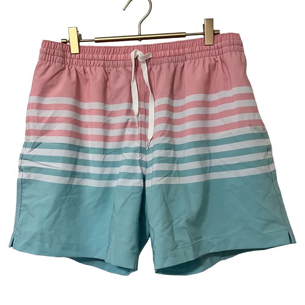 Chubbies The On The Horizons 5.5" Swimmers Shorts Size L Stripe Lined Vacation